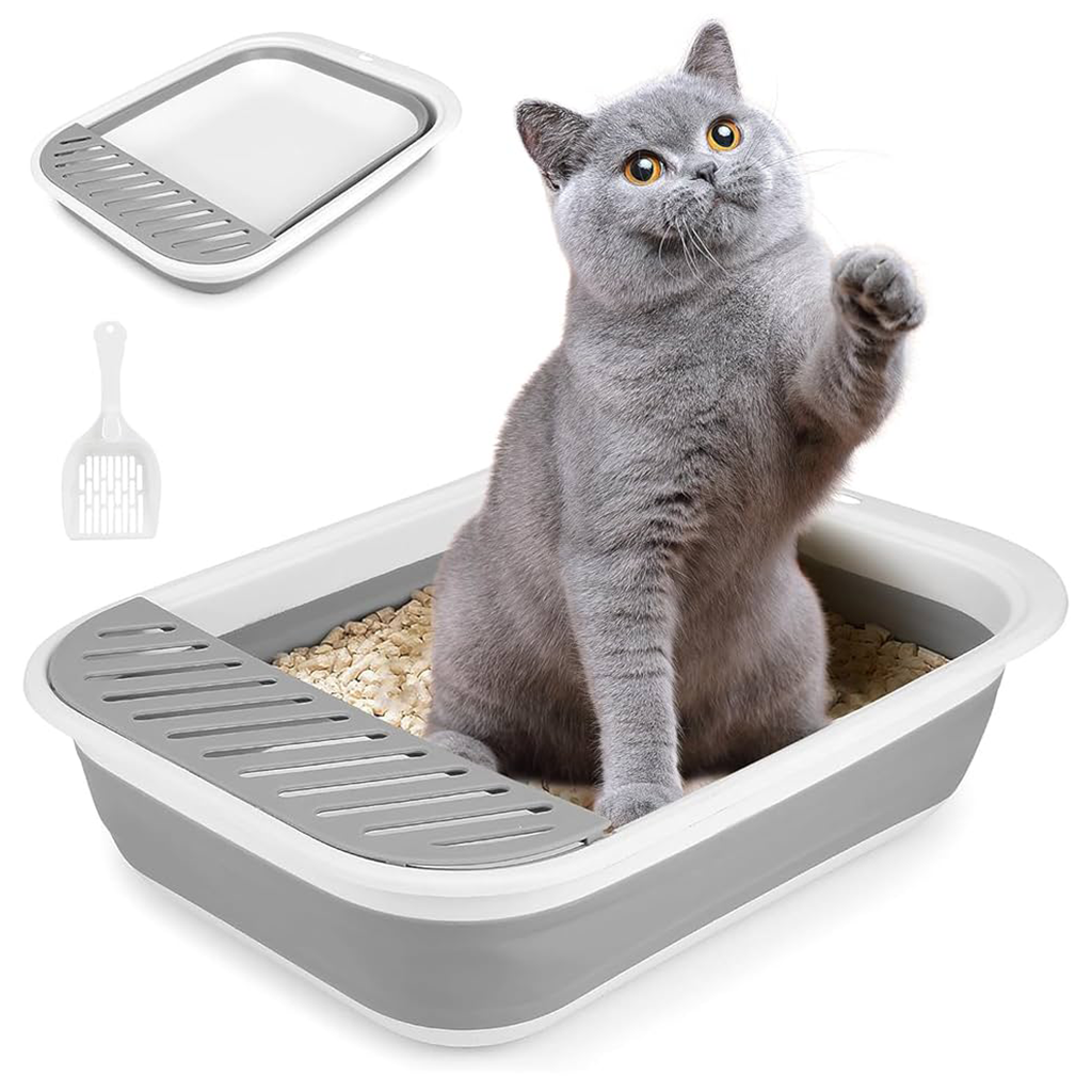 Litter & Housebreaking